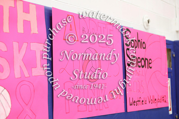 WHS_pink out_38