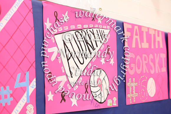WHS_pink out_40