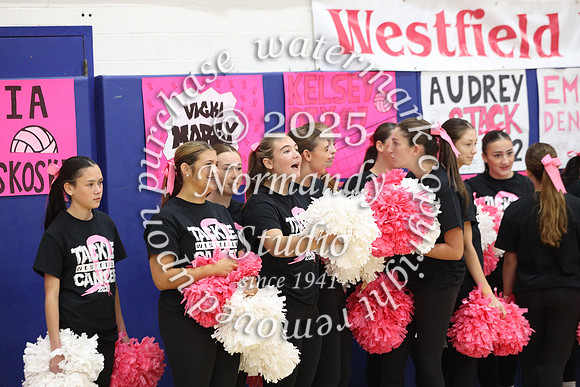 WHS_pink out_52
