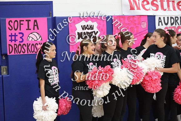 WHS_pink out_51