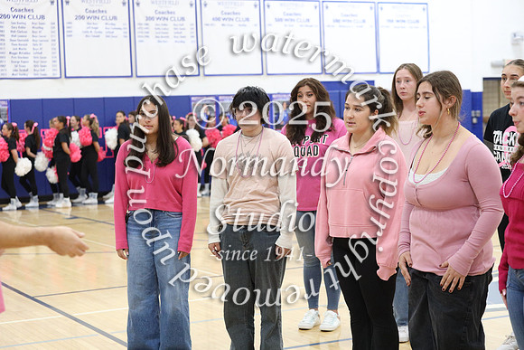 WHS_pink out_62