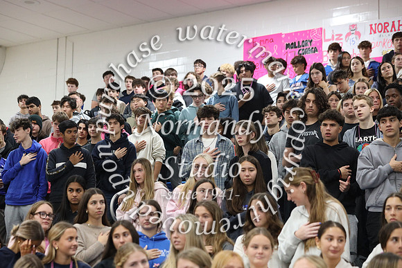 WHS_pink out_64