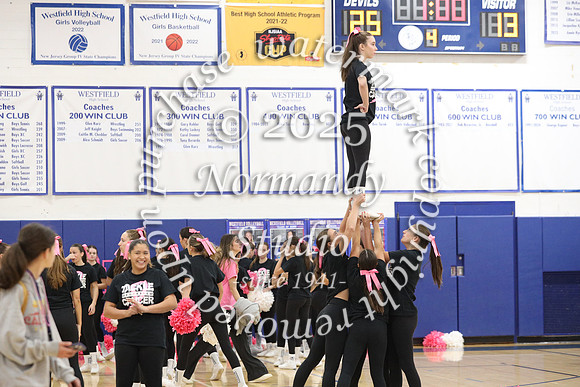 WHS_pink out_02
