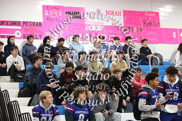 WHS_pink out_03