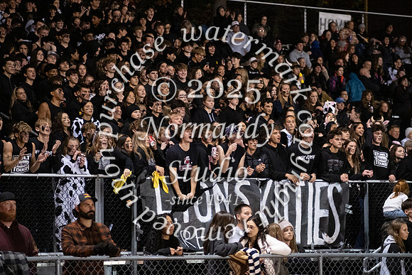 VOR_fans_12