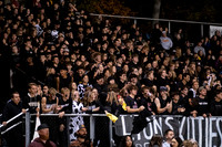 VOR_fans_17