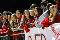 BER_fans_04