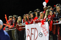BER_fans_02