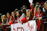 BER_fans_03