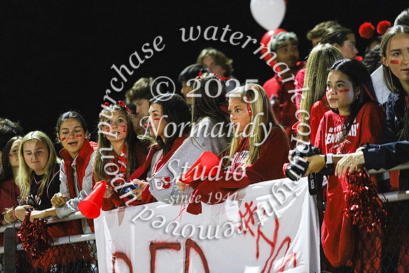 BER_fans_03