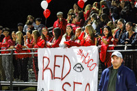 BER_fans_01