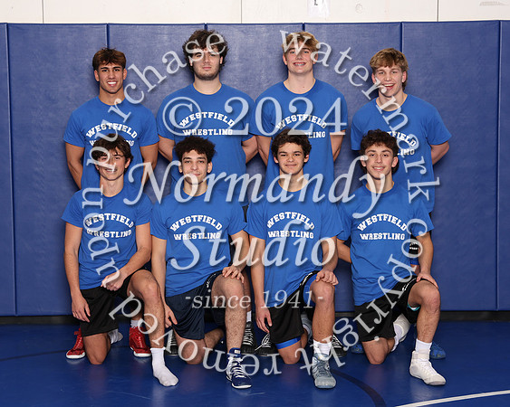 WHS_wr-srs_20