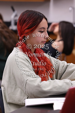 WMC_slc_023