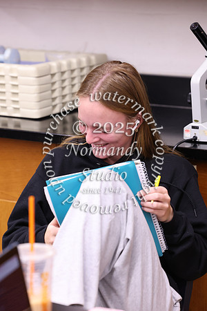 WMC_slc_025