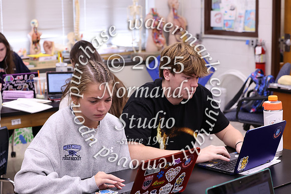 WMC_slc_031
