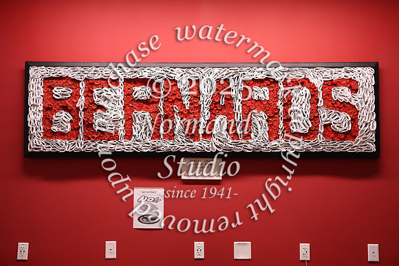 BER_halloween+slc_029