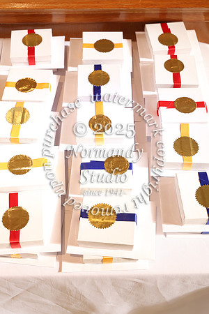 MSM_jr_ring_mass_002