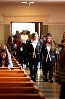 MSM_jr_ring_mass_005