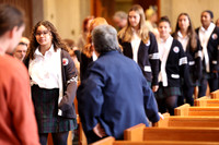 MSM_jr_ring_mass_008