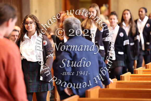 MSM_jr_ring_mass_008