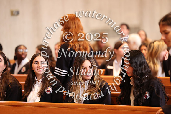 MSM_jr_ring_mass_009