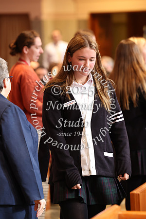 MSM_jr_ring_mass_012