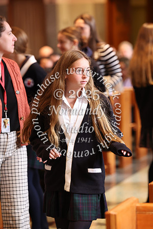 MSM_jr_ring_mass_013