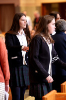 MSM_jr_ring_mass_017