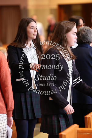 MSM_jr_ring_mass_017