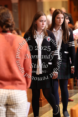 MSM_jr_ring_mass_016