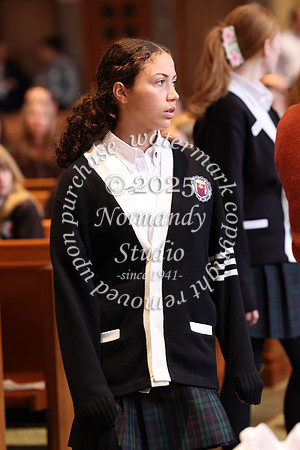 MSM_jr_ring_mass_019