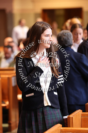 MSM_jr_ring_mass_018