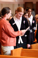 MSM_jr_ring_mass_020