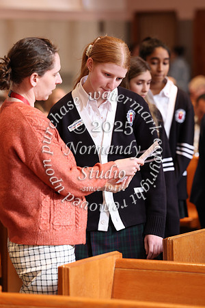 MSM_jr_ring_mass_020