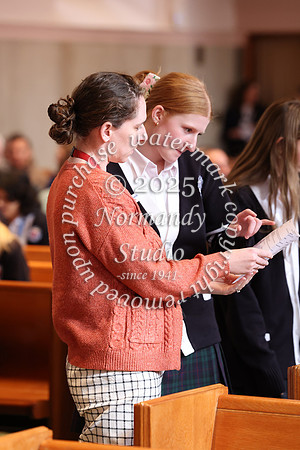 MSM_jr_ring_mass_021