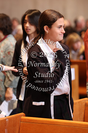 MSM_jr_ring_mass_023