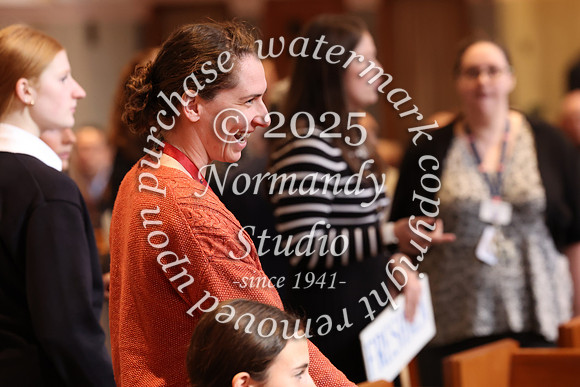 MSM_jr_ring_mass_025