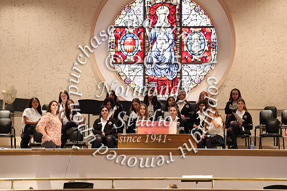 MSM_jr_ring_mass_029