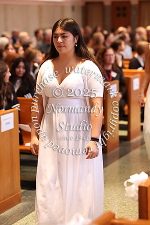 MSM_jr_ring_mass_033