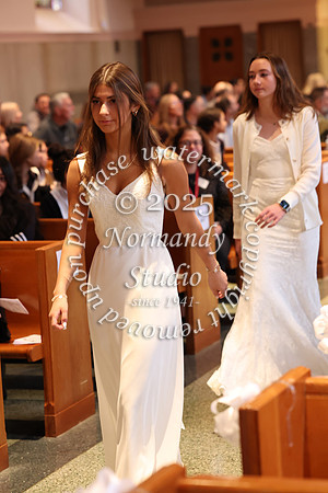 MSM_jr_ring_mass_035