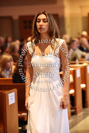 MSM_jr_ring_mass_038