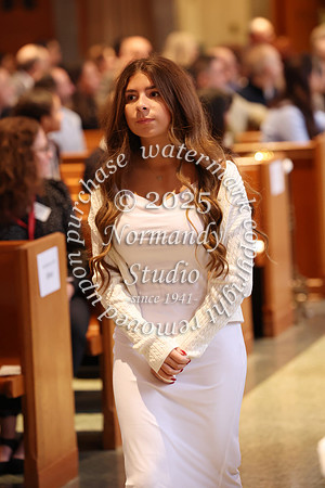 MSM_jr_ring_mass_039