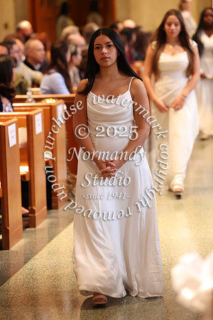 MSM_jr_ring_mass_041