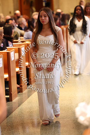 MSM_jr_ring_mass_042