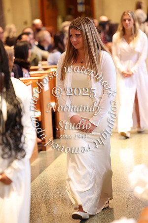 MSM_jr_ring_mass_044