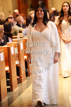 MSM_jr_ring_mass_047