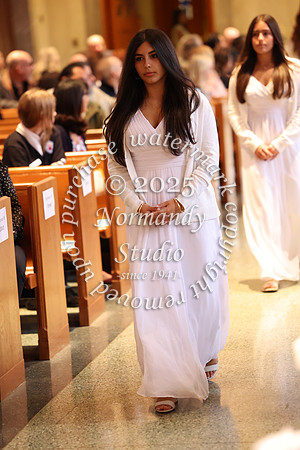 MSM_jr_ring_mass_051