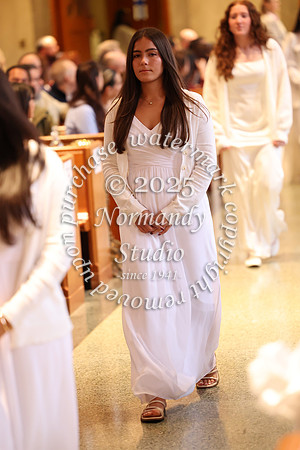 MSM_jr_ring_mass_052