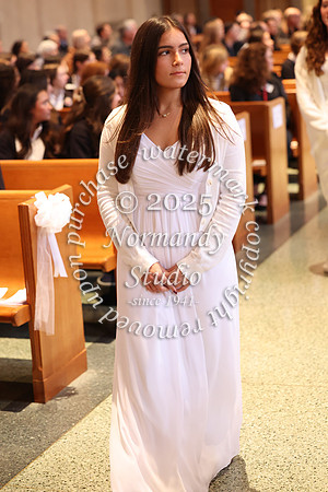 MSM_jr_ring_mass_053