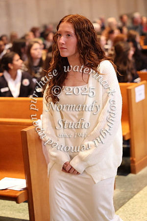 MSM_jr_ring_mass_055